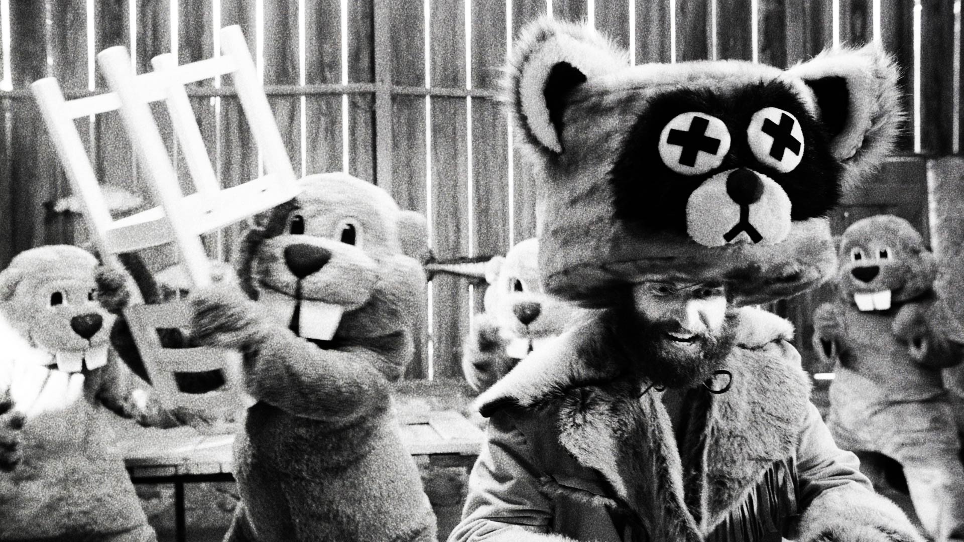 Beavers fighting with man in raccoon costume. Still from Hundreds of Beavers film.
