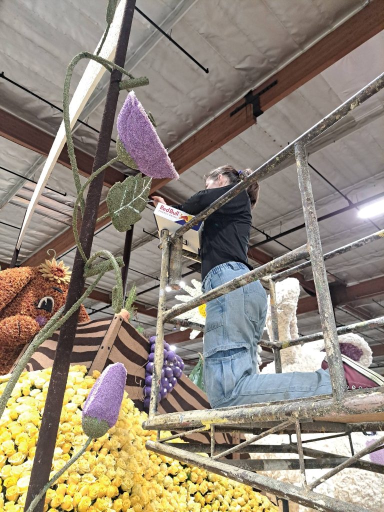 December 30 - Elizabeth finishing the float. The back of that leaf could not be reached from scaffolding so it could not be done until the scaffolding was gone and a cherry picker could put her with reach.